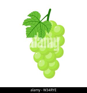 Raisin vert isolé sur fond blanc. Bouquet de raisin vert avec tige et feuille. Style de dessin animé. Vector illustration pour toute conception. Illustration de Vecteur