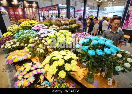 Kunming, province chinoise du Yunnan. 12 juillet, 2019. Personnes visitent la 20e Kunming International Flower Expo de Chine à Kunming International Dianchi Convention and Exhibition Centre à Kunming, capitale du sud-ouest de la province chinoise du Yunnan, le 12 juillet 2019. Plus de 400 exposants de 19 pays assistent à l'expo qui a donné le coup d'ici vendredi. Credit : Qin Qing/Xinhua/Alamy Live News Banque D'Images