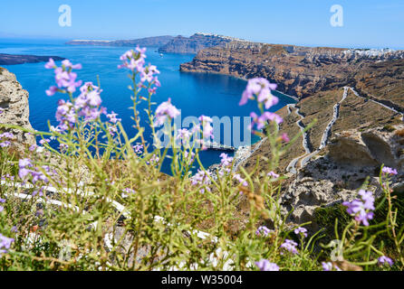 Sur la caldeira avec port depuis près de Oia et Fira - Firostefani, Santorin, Grèce au 31.05.2019. © Peter Schatz / Alamy Stock Photos Banque D'Images