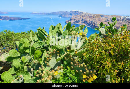 Sur la caldeira avec port depuis près de Oia et Fira - Firostefani, Santorin, Grèce au 31.05.2019. © Peter Schatz / Alamy Stock Photos Banque D'Images