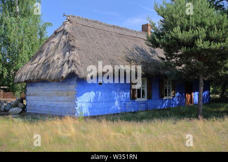 Belle ancienne maison de campagne en bois peint bleu chaume entourée par la nature, herbe, arbres, traditionnel polonais coutryside, patrimoine Banque D'Images