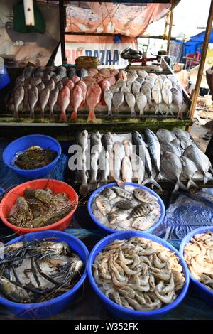 Marché aux poissons. La vente du poisson par les filets de pêche chinois sur les rives de fort Kochi, Kerala, Inde Banque D'Images