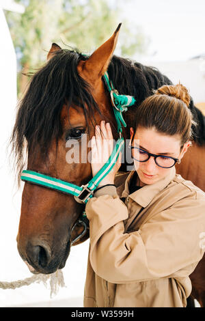 Jeune femme kinésithérapeute en prenant soin d'un cheval brun. Banque D'Images