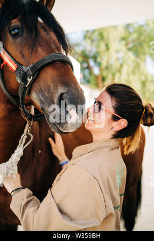 Contrôle vétérinaire femelle horse tout en se tenant dans stable. Physiothérapie équine. Banque D'Images