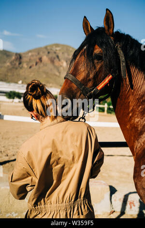 Contrôle vétérinaire femelle horse tout en se tenant dans stable. Physiothérapie équine. Banque D'Images