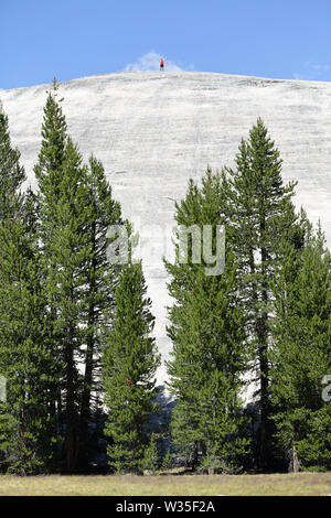 Sommet atteint randonneur très loin l'article sur le dessus de la montagne dans le Parc National de Yosemite paysage paysage, le Dôme des fondrières, Californie, USA. Randonnée homme drôle affiche une grande réussite. Banque D'Images