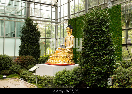 La statue du Bouddha d'or dans la piscine jardin Japonais à botanika à Brême, Allemagne. Banque D'Images