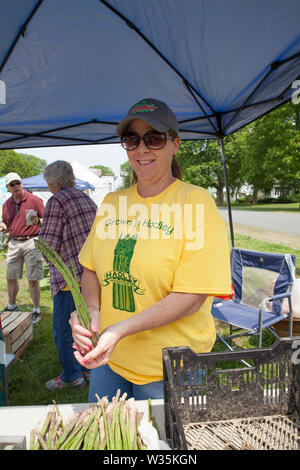 Hadley, Massachusetts est célèbre pour ses asperges et d'avoir un festival pour célébrer la récolte. Banque D'Images