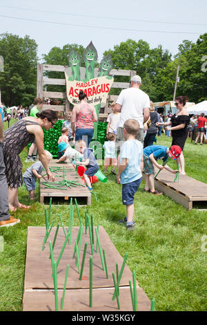 Hadley, Massachusetts est célèbre pour ses asperges et d'avoir un festival pour célébrer la récolte. Banque D'Images