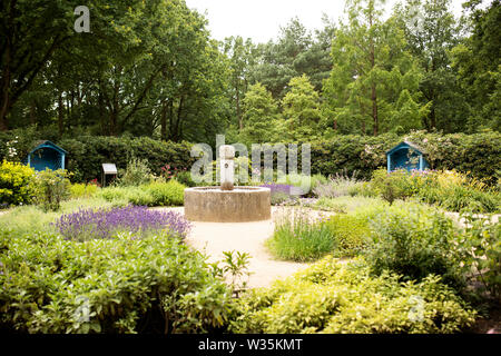 Le Duftgarten ou parfum parfum (jardin) est un jardin des sens au parc des Rhododendrons de Brême, Allemagne. Banque D'Images