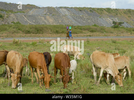 La TANZANIE, Distrikt Tarime, Nyamongo, la filiale canadienne Barrick Gold Gold Mine, Mara Acacia voir surcharger cessions/Abraumhalden TANZANIE, Blick auf der Acacia Gold Mine im Afrikanischen Grabenbruch Banque D'Images