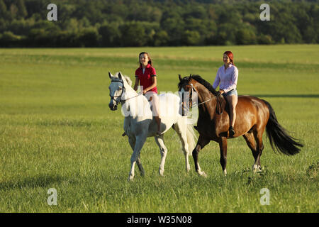 Deux filles sur les chevaux marcher dans la nature de l'été dans l'après-midi Banque D'Images