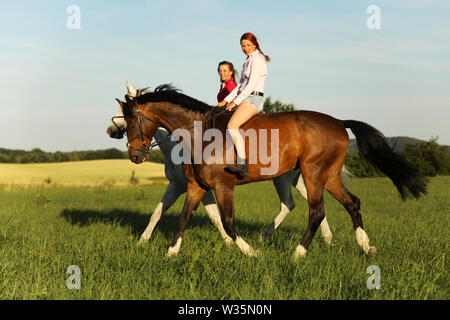 Couple de filles sur chevaux marche sur prairie de la période après-midi d'été Banque D'Images