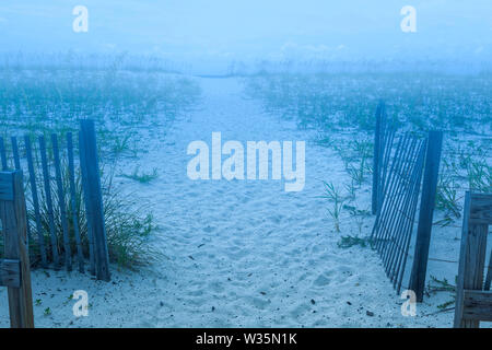 Un très Foggy Beach chemin à travers les dunes Banque D'Images