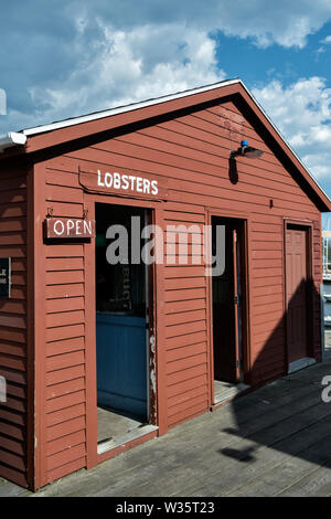 Un livre de homard homard fraîchement pêché de vente sur le quai à cinq Îles Harbour, Georgetown, Maine. Banque D'Images