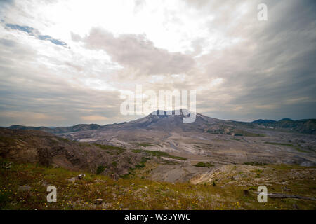 Mt St Helen est un parfait exemple de la façon dont la nature ne l'humanité sans interférences, à n'importe quelle direction, d'aide, la guérison se produit et va tout à fait. Banque D'Images