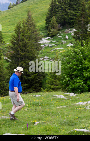 Un randonneur explore la montagne Ebenalp dans les Alpes d'Appenzell en Suisse. Banque D'Images