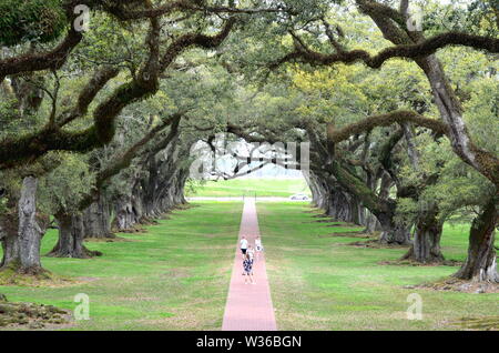 PLANTATION DE RUELLE EN CHÊNE, LOUISIANE/USA - 19 AVRIL 2019 - touristes et familles de visiteurs profitant du jardin paysager de la plantation Oak Alley Louisia Banque D'Images