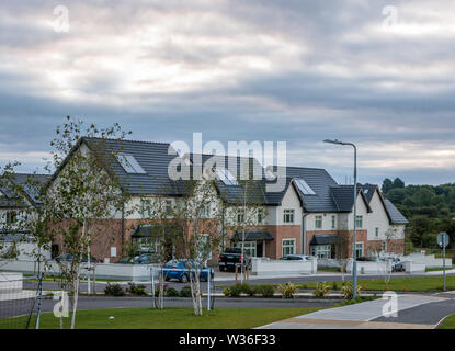 Carrigaline, Cork, Irlande. Le 13 juillet, 2019. Une section de la première phase du développement de nouvelles maisons qui est maintenant terminé et occupé par de nouveaux propriétaires à Janeville, Carrigaline Co., Cork, Irlande. Situé sur le côté de Cork Carrigaline, font partie de ces 800 logements actuellement en cours de construction. Crédit : David Creedon/Alamy Live News Banque D'Images