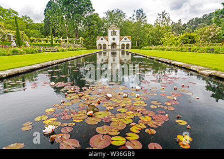 L'étang en face de l'axe historique Moulin est rempli de variétés colorées de Lily à l'eau les jardins Bodnant, Conwy, Pays de Galles, Royaume-Uni Banque D'Images