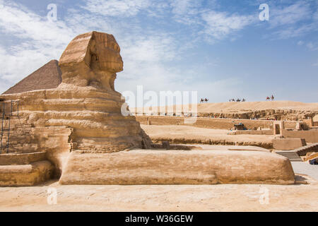Le grand Sphinx de Gizeh le plateau avec les pyramides et les chameaux en arrière-plan. Banque D'Images