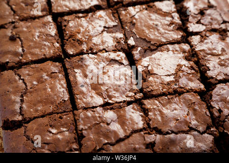 Brownies au chocolat maison, low angle view. Libre. Des petits. Banque D'Images