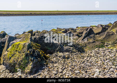 Roches couvertes d'algue marine avec vue sur l'océan, la plage de Tholen, Bergse diepsluis, Oesterdam, Zélande, Pays-Bas Banque D'Images