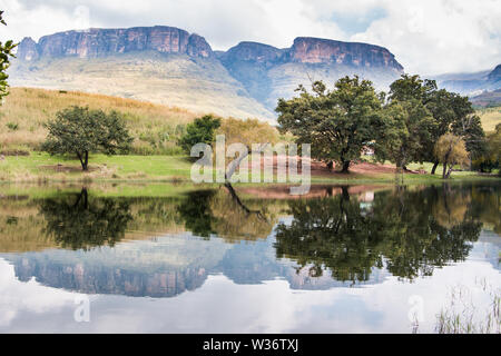 Montagnes du Drakensberg du nord reflétant dans l'eau avec des arbres et un ciel nuageux dans le Parc National Royal Natal, Afrique du Sud. Banque D'Images