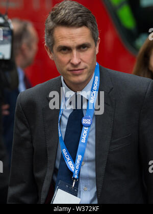 Les départs à la suite de Boris Johnson's management lancent une campagne pour devenir le chef du parti conservateur. Comprend : Gavin Williamson Où : London, Royaume-Uni Quand : 12 Jun 2019 Credit : Wheatley/WENN Banque D'Images