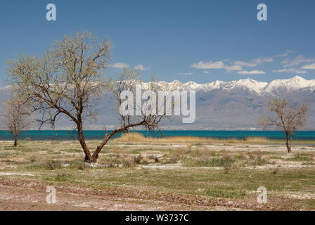 Paysage près du lac Issyk-Koul. Kirghizistan Banque D'Images