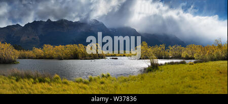 La célèbre rangée de saules à Glenorchy, Île du Sud, Nouvelle-Zélande. Situé près de Queenstown, Glenorchy est un paradis néo-zélandais et un touriste populaire Banque D'Images