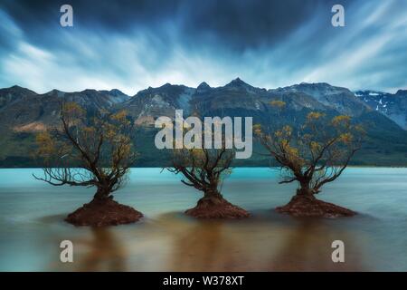 La célèbre rangée de saules à Glenorchy, Île du Sud, Nouvelle-Zélande. Situé près de Queenstown, Glenorchy est un paradis néo-zélandais et un touriste populaire Banque D'Images