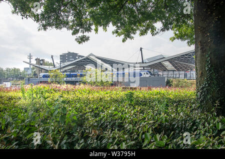 Tilburg, Pays-Bas, le 12 juillet 2019 : bleu, blanc et jaune de fer néerlandais d'attente de train à la gare car vu de sous un arbre sur le côté Banque D'Images