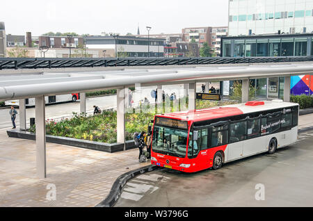 Tilburg, Pays-Bas, le 12 juillet 2019 : l'arrêt de bus à la nouvelle station de bus avec un grand et luxuriant flowr bed Banque D'Images