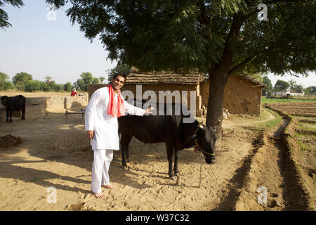 Farmer caresser cow Banque D'Images