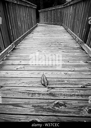 Gulf Shores, AL USA - 05/11/2019 - chemin du pont de bois avec feuilles séchées en B&W Banque D'Images