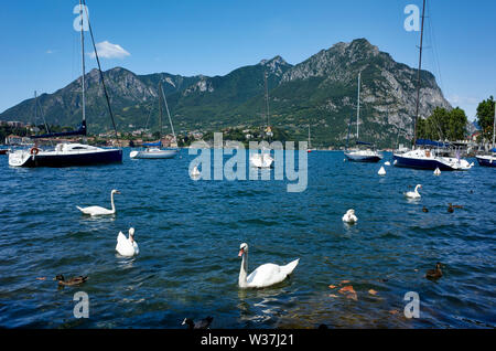 Lecco se trouve à la fin de la branche sud-est du lac de Côme (la direction nommé Lac de Lecco / Lago di Lecco). La Lombardie, Italie Banque D'Images