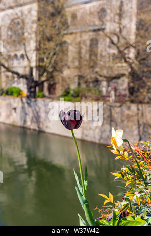 Metz, France, vue de Moyen bridge Banque D'Images