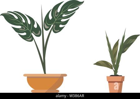 Plantes en pot isolé sur blanc. Vector set de deux plantes tropicales vert pot dans l'illustration de l'intérieur et de l'accessoires de dessin animé Illustration de Vecteur