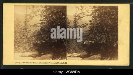 Vue depuis les rapides et cascades, Franconia Notch, NH, par William Williams Brothers Banque D'Images