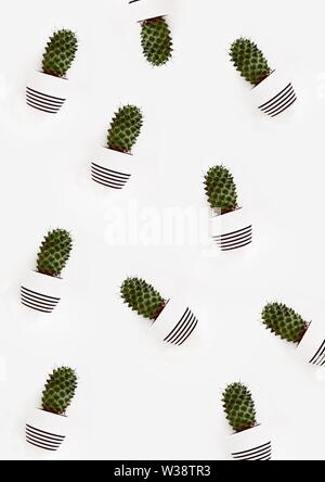 Abstrait beau papier peint avec des cactus ou cactus dans des pots rayés sur fond blanc Banque D'Images