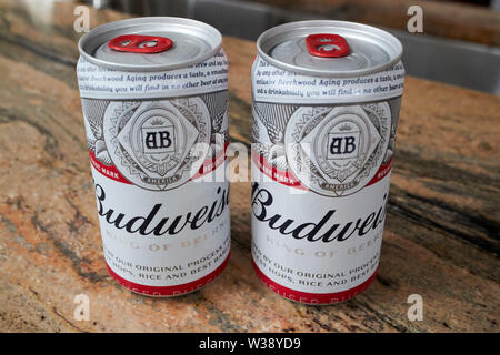 Deux petites boîtes miniatures demi-pinte de budweiser sur un plan de travail de cuisine USA États-Unis d'Amérique Banque D'Images