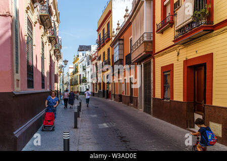 Séville, Espagne - 3 septembre 2015 : Rue résidentielle typique dans la partie ancienne de la ville. Séville est le capial d'Andalousie Banque D'Images