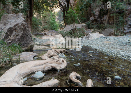 Wadi Lajab dans la province de Jizan, en Arabie Saoudite Banque D'Images