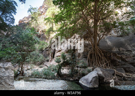 Wadi Lajab dans la province de Jizan, en Arabie Saoudite Banque D'Images