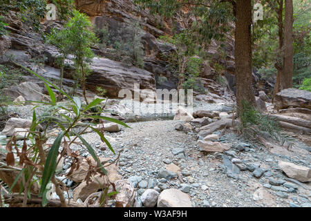 Wadi Lajab dans la province de Jizan, en Arabie Saoudite Banque D'Images
