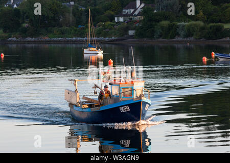 Crosshaven, Cork, Irlande. 14 juillet, 2019. Martin Pêcheur Fleming guide son bateau de pêche Winnie l'ourson sur les lieux de pêche pour vérifier ses pots pour le homard et crabe dans Crosshaven, co Cork, Irlande. Crédit : David Creedon/Alamy Live News Banque D'Images