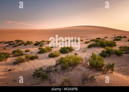 Beau Lever de soleil à Dammam Arabie Saoudite Désert Banque D'Images