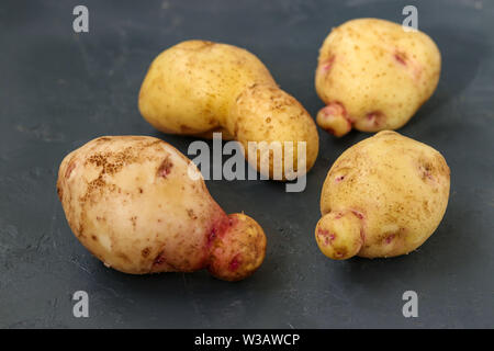 Bio laid - pommes de terre Légumes anormaux sur fond sombre, des légumes biologiques, Concept photo horizontale Banque D'Images