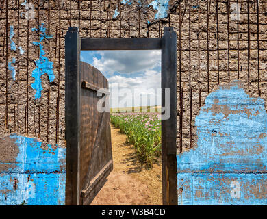 Gate dans un champ de pavot à opium, Germerode, Werra-Meissner district, Hesse, Allemagne, photomontage Banque D'Images